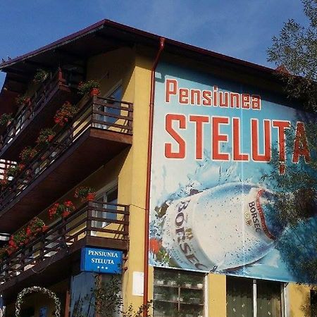 Pensiunea Steluta Predeal Extérieur photo