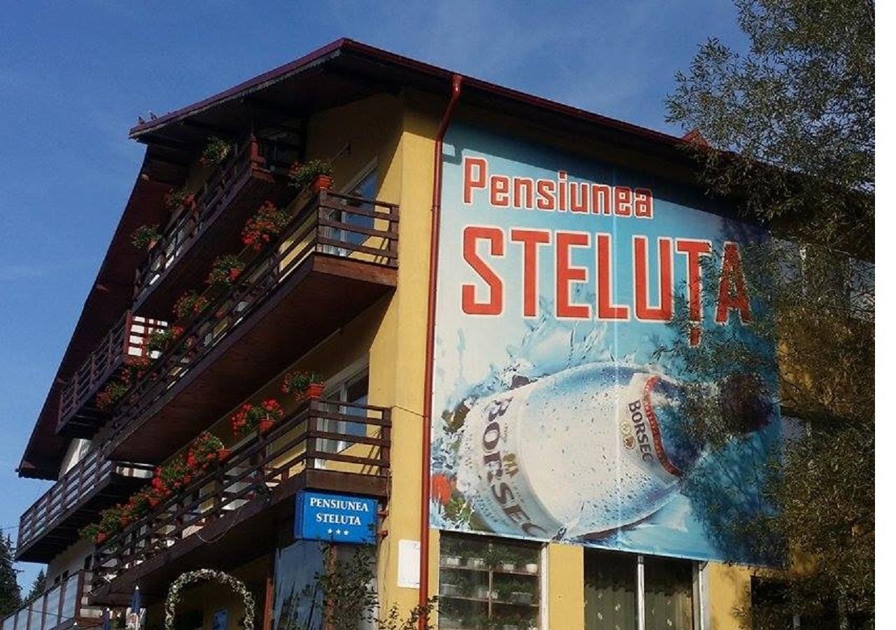 Pensiunea Steluta Predeal Extérieur photo